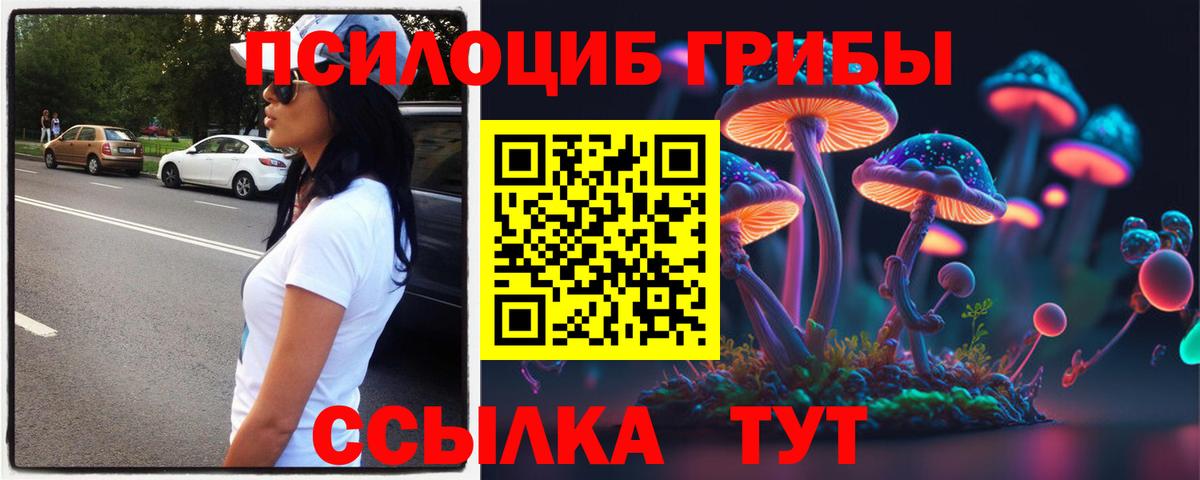 Псилоцибиновые грибы прущие грибы Таганрог